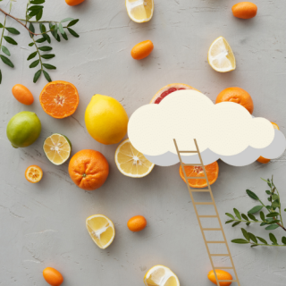 El Pla Z: La relaci entre els aliments i els somnis