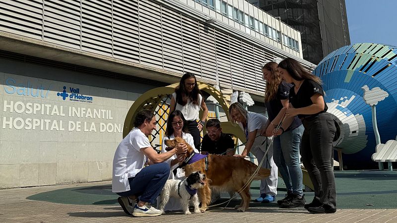 Teràpia assistida amb gossos a la Vall d'Hebron - De nit | Escoltar
