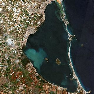 Situacin crtica en el Mar Menor por la temperatura del agua
