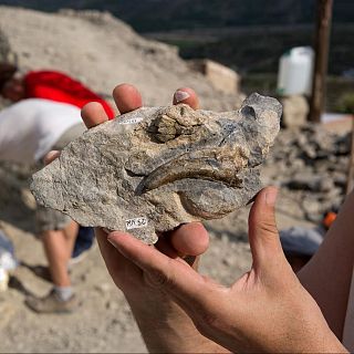 La Rioja - Excavaciones de Igea