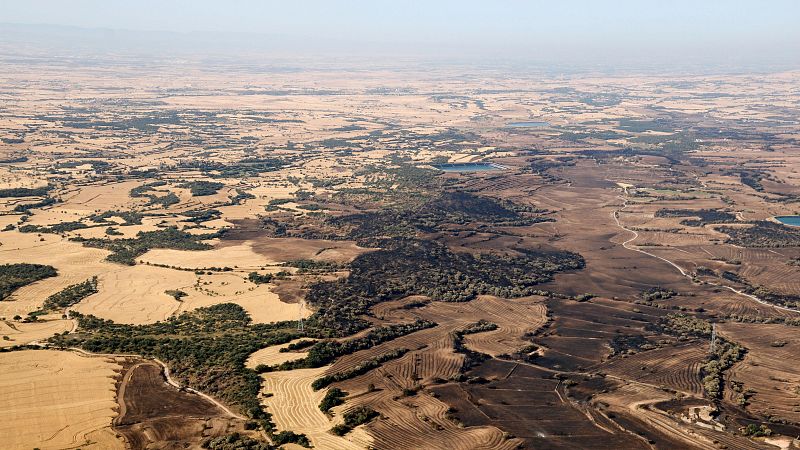 Qu fem desprs dels incendis? Entrevista Josep M Espelta, investigador del CREAF - Sn 4 dies | Escuchar