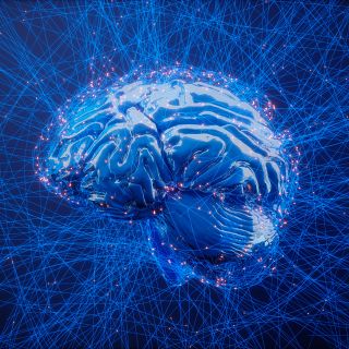 Cerebro corrupto, tentaciones