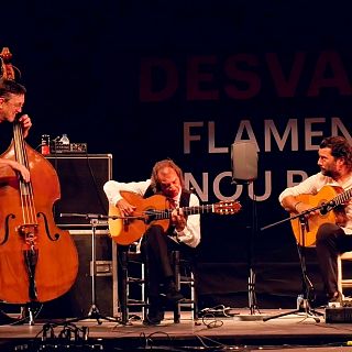 Desvarío Flamenco al Festival Grec