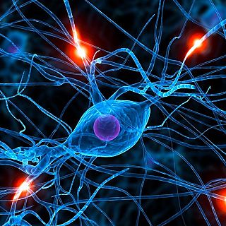 Un mapa proteico para entender el Alzheimer, Parkinson y ELA