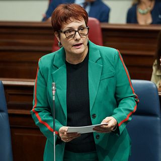 Canarias exige al Gobierno la financiación adecuada para atender a los menores migrantes