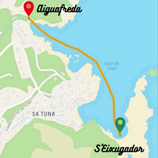 Travessa de nataci en aiges obertes de Begur