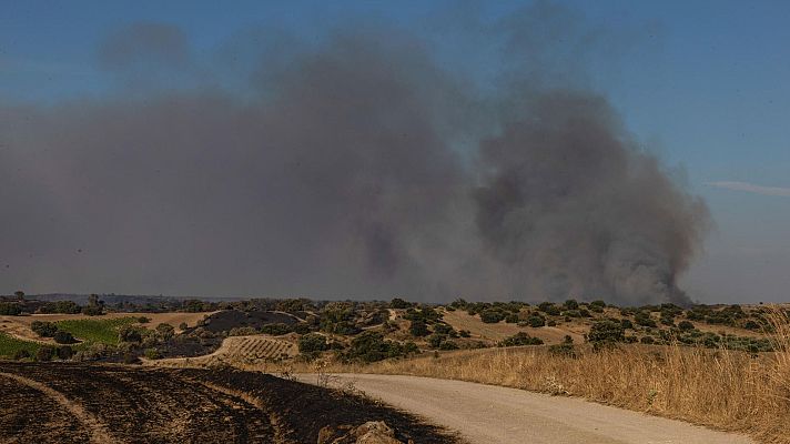 Incendio de sexta generación: \"La prevención es más barata que la extinción\" - Escucha ahora