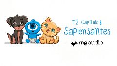 Sapiensantes - T2. E8. ¿Por qué los cachorros te parecen tan 'monos'?