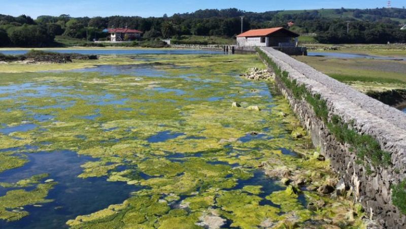 Reserva natural - Los conflictos del agua - 24/07/25 - Escuchar ahora