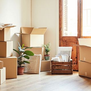 Nido vacío: los niños se van de casa