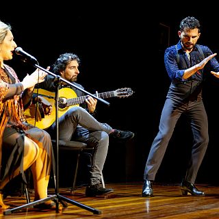 El flamenco en España: presente y futuro