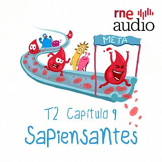 Por qu la sangre es roja y cmo circula por nuestro cuerpo?