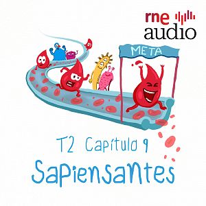 Sapiensantes - Sapiensantes - T2. E9. ¿Por qué la sangre es roja y cómo circula por nuestro cuerpo? - Escuchar ahora