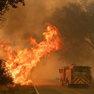 En Espaa, la mayora de incendios forestales estn provocados por la mano del hombre
