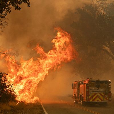 La mayoría de incendios forestales están provocados por causas humanas - 14 horas | Escuchar