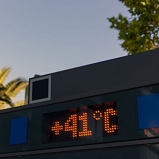 Sociedad Espaola de Mdicos: "Nadie est libre de sufrir un golpe de calor"