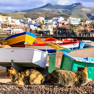 Las islas ms raras del mundo: Tashirojima, Xochimilco y Sark