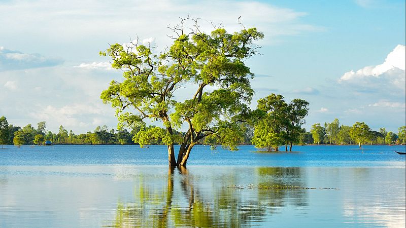 Reflejos en el agua I - Podría pasarte a ti - 06/08/25 - Reflejos en el agua | Escuchar
