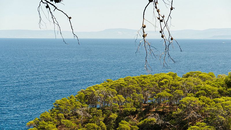 Vistas al mar I - Caballos de ébano - 08/08/25 - Vistas al mar | Escuchar