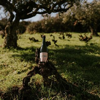 El Pet Nat, el primer vino con burbujas naturales de la historia, con Richi Arambarri