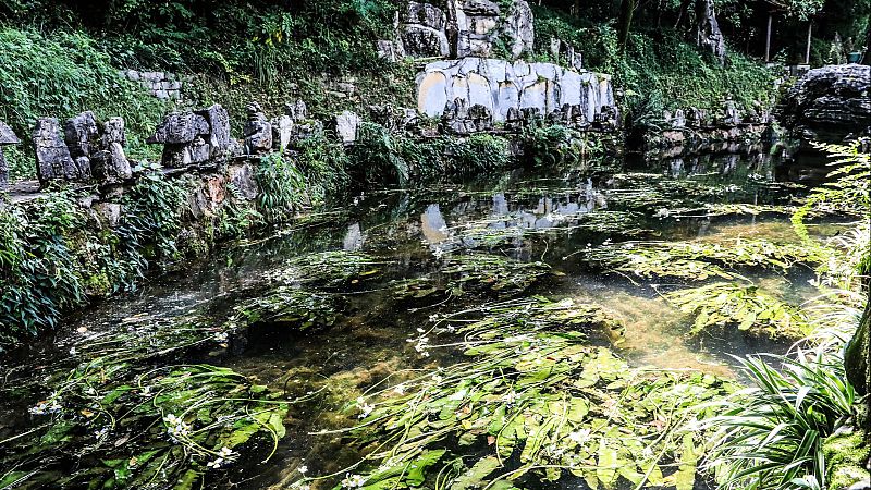 Reflejos en el agua I - El recuerdo de un sueño - 08/08/25 - Reflejos en el agua | Escuchar