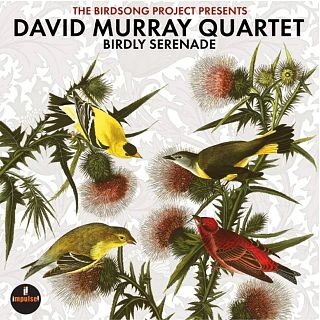 Los pjaros de David Murray
