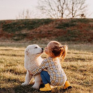 Por qu cada vez se tienen ms perros y menos nios?