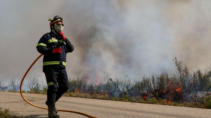 UME: \"Es mejor dejar a los profesionales trabajar, porque saben cómo escapar\" - Las mañanas de RNE | Escuchar