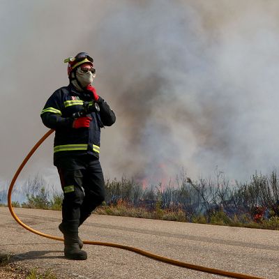 UME: \"Es mejor dejar a los profesionales trabajar, porque saben cómo escapar\" - Las mañanas de RNE | Escuchar