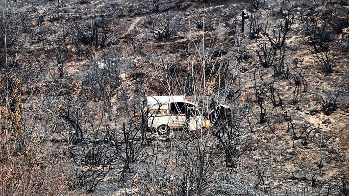 La alcaldesa de Páramo del Sil, Alicia García, denuncia el estado de abandono que sufre el monte: \"La falta de prevención es global\" - Escuchar ahora