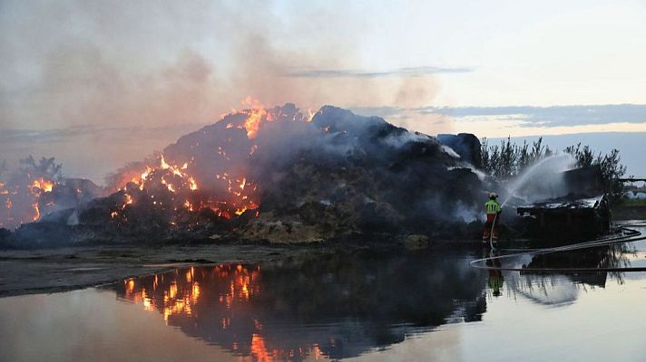 El número de incendios se reduce mientras que la proporción de grandes incendios forestales crece - 14 horas | Escuchar