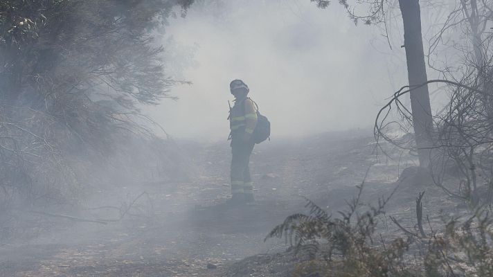 \"La categoría de bombero forestal en Castilla y León no está reconocida\" - Escuchar ahora