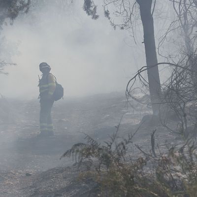 \"La categoría de bombero forestal en Castilla y León no está reconocida\" - Escuchar ahora