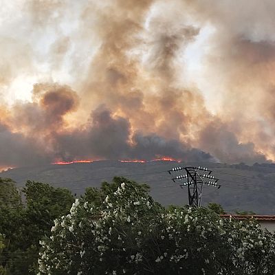 \"No se puede decir que la culpa de los incendios es directamente del cambio climático\" - Las mañanas de RNE | Escuchar