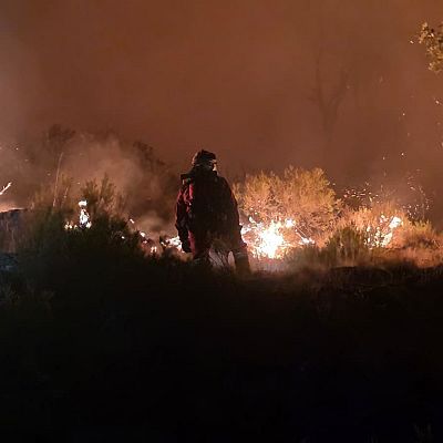 Paco Ramírez, sobre el incendio de Jarilla: \"Ha cruzado al territorio vecino de Castilla y León\"-Escuchar ahora