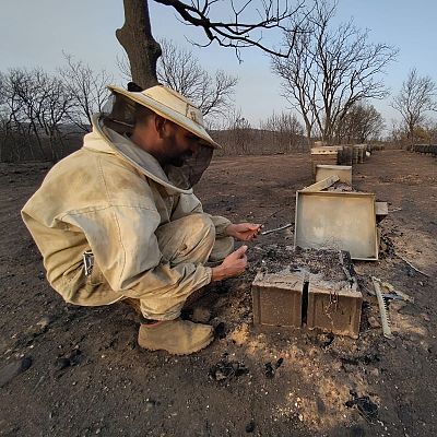 Las consecuencias de los incendios en el campo - Escuchar ahora
