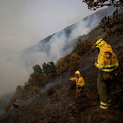 ¿Cómo ayudan los vecinos de las zonas afectadas por los incendios?-Escuchar ahora