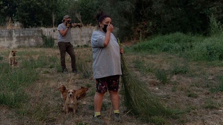 España alcanza la cifra más alta de CO2 en el aire en 23 años por los incendios - 14 horas | Escuchar