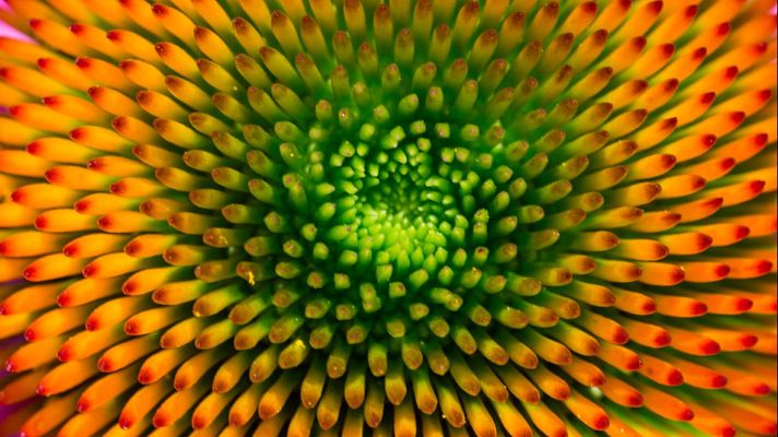 Noches en los jardines - La marchenera - 02/09/25 - Noches en los jardines | Escuchar