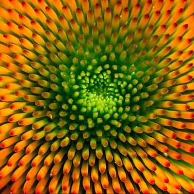 Noches en los jardines - La marchenera - 02/09/25 - Noches en los jardines | Escuchar