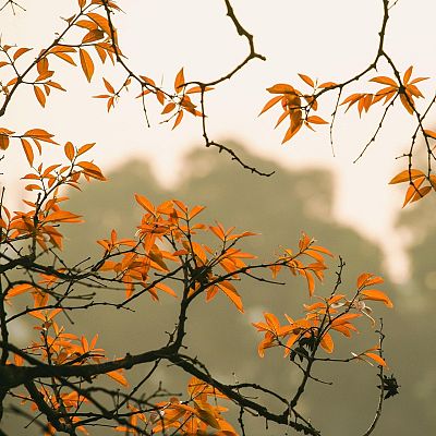 El jardín de Voltaire - La solidez de la inteligencia y la contención - 03/09/25 - El jardín de Voltaire | Escuchar