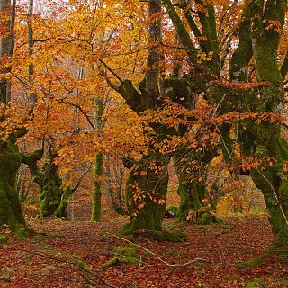 Espaa, lder mundial en reservas de la biosfera Unesco