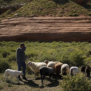 La Escuela de Pastores de Castilla-La Mancha