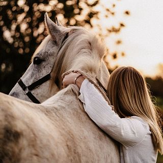 Caballos: compaeros inseparables