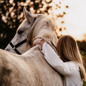 Memoria de delfín - Caballos: compañeros inseparables del ser humano a lo largo de la historia - escuchar ahora