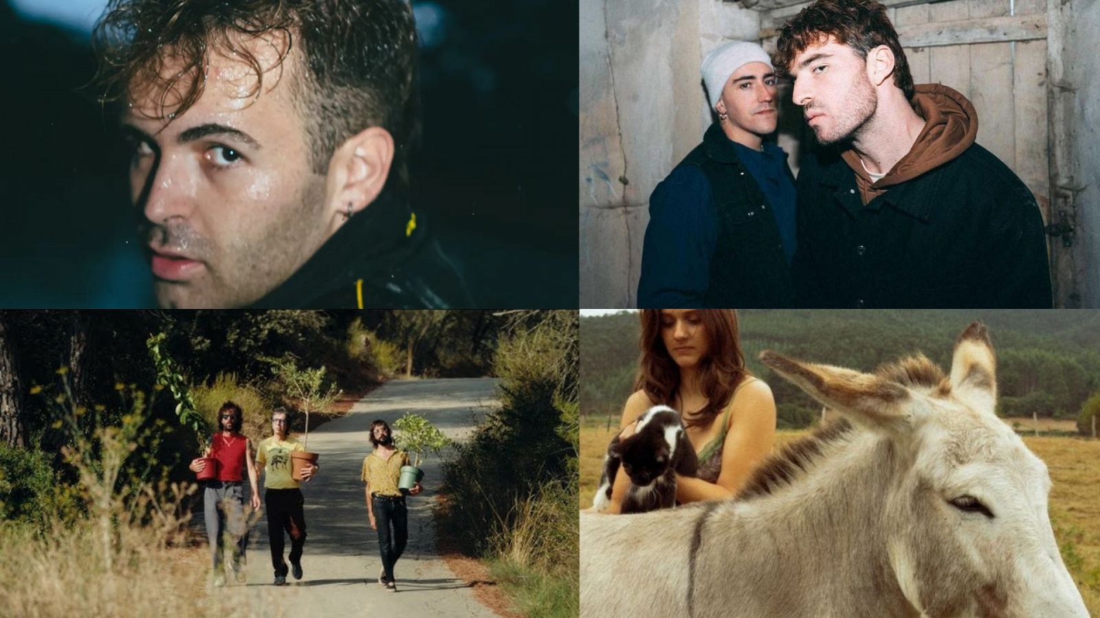 ARTICULO 3 Sabor a verano - Artculo 3 | Escuchar