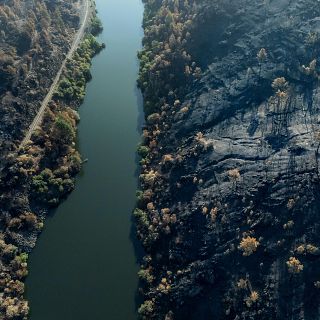 El efecto de las lluvias en las zonas afectadas por los incendios