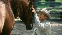 Sin rodeos - Murió Robert Redford, el hombre que susurraba a los caballos - 18/09/25