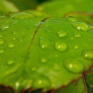 Generar energ�a limpia a partir de una gota de lluvia