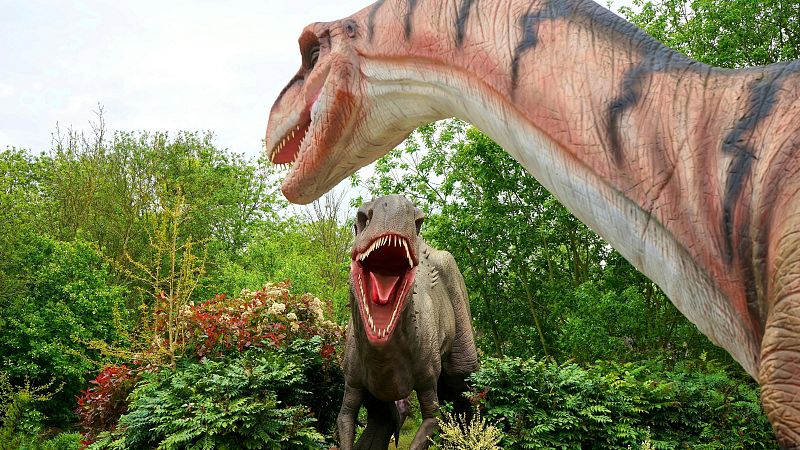 El Pla B - Toni Mata: El JoaqunRaptor - Escoltar Ara